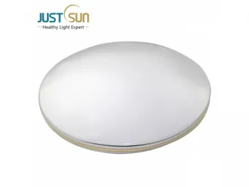 Flush Mount LED Ceiling Lamp