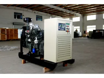 20kW Biogas Genset