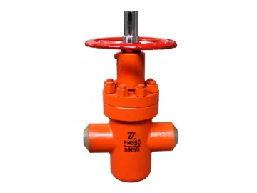 Forged Steel Gate Valve