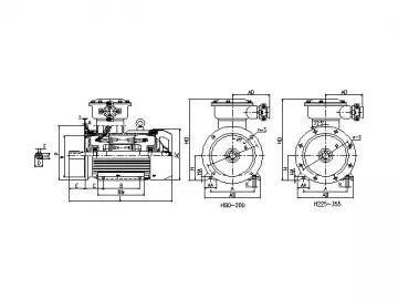 Explosion Proof Three-phase Induction Motor, YB3 Series