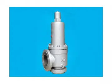 Pressure Safety Valves