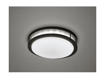 Aluminum Lighting Fixture Ceiling LED Light, Item SC-H109 LED Lighting