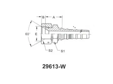 22613-W BSP Female 60° Cone Seat Fittings