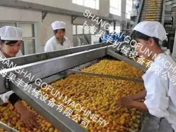 Fruit and Vegetable Sorting Machine