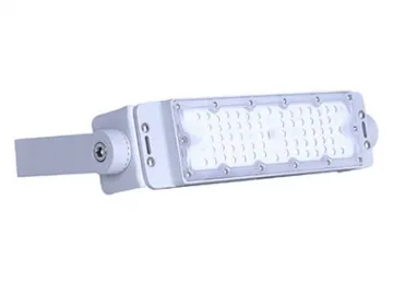 LED Flood Light, Item CET-110 LED