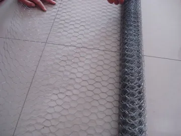 Hexagonal Wire Mesh/Netting