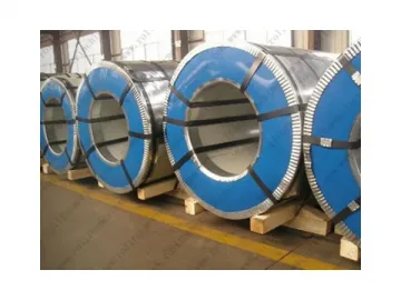 Pre-painted Galvanized Steel Sheets and Coils