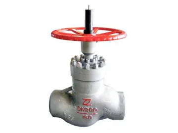 Balanced Throttle Globe Valve