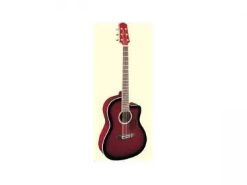 Acoustic Guitar