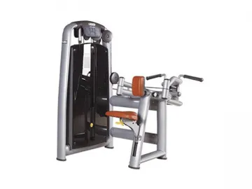 TZ-6041 Back Extension Machine