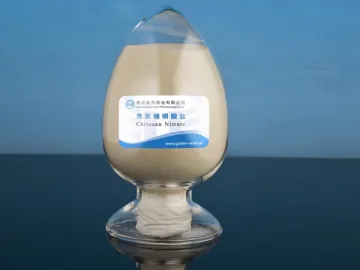 Chitosan Nitrate