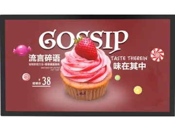 55 inch LCD Digital Signage