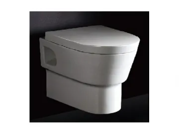 Wall Hung Toilet