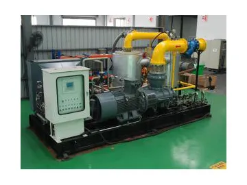 Natural Gas Compressor