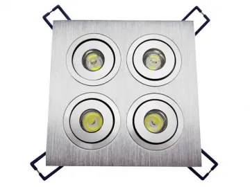 Other LED Ceiling Lights