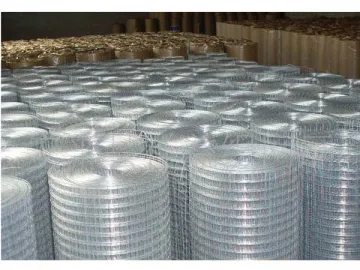 Hot Dipped Galvanized Wire Mesh