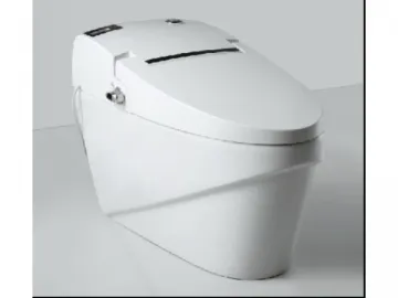 Digital Toilet