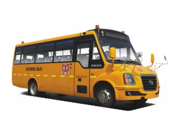 DD6930C03FX School Bus