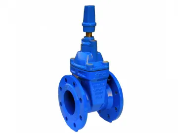 DIN 3352 F4-G4CX G4HX-AT Gate Valve