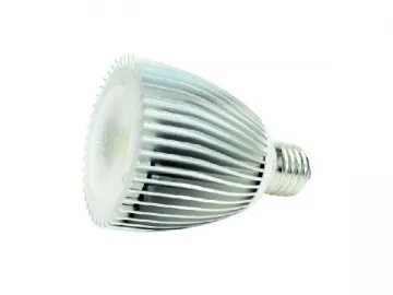 6W LED PAR Light