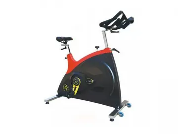 7010A Indoor Cycling Bike