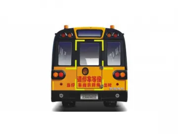 DD6100C05FX School Bus