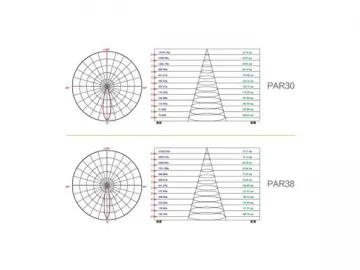 LED PAR Light