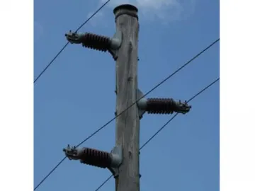 Line Post Insulator