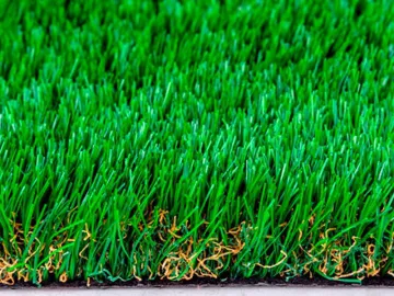 TS Anti-Bacterial Grass