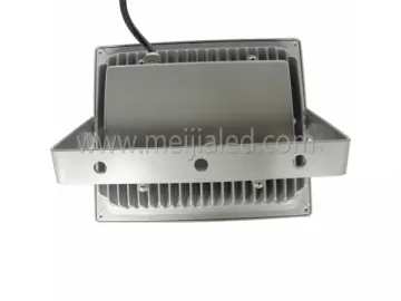 50W LED Floodlight