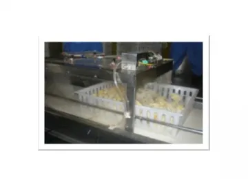 Chick Counter and Packaging Equipment