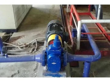 Stainless Steel Gear Pump