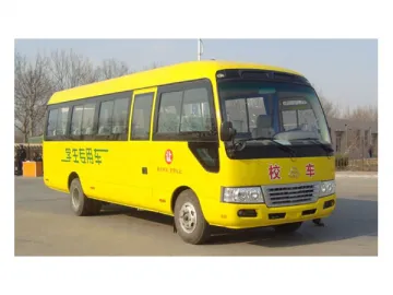 School Bus YTK6760X