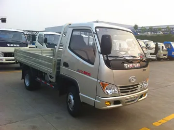 1T Light Duty Truck