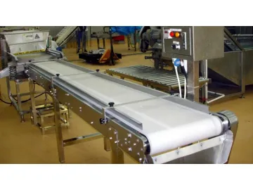 Straight Belt Conveyor