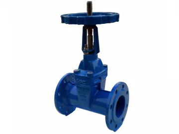 DIN 3352 F5-Rising Stem Gate Valve