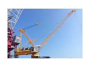 WQ315 Luffing Jib Crane