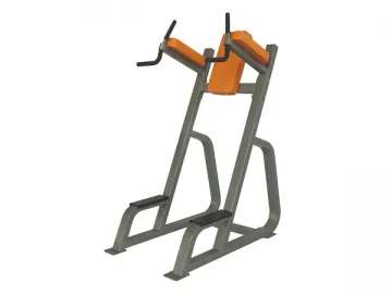 Vertical Knee Raise Rack