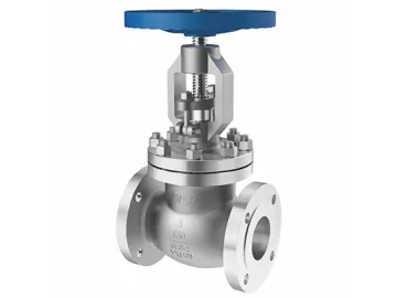 Globe Valves  Video