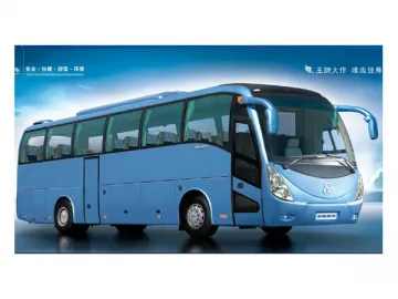 Coach YTK6126B