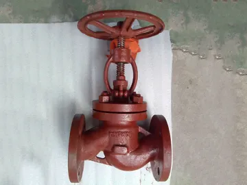 Globe Valve