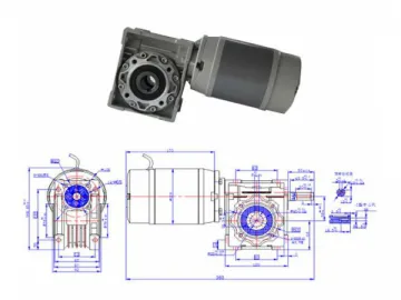 Permanent Magnet DC Gear Motor