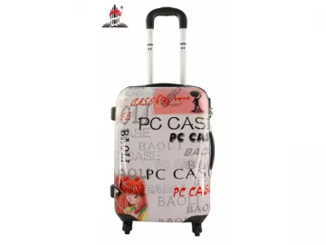 Streamline Design Trolley Case