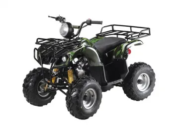 ATA110-D/D1 110CC ATV