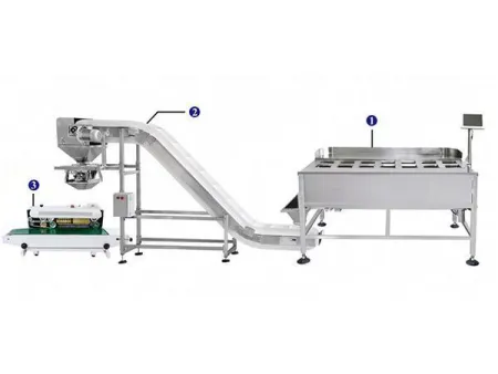 Semi-Automatic Packing Line (manual operation),with 14 heads weigher, Inclined feeding conveyor