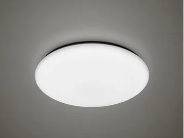 Water Resistant Flush Mount LED Ceiling Light