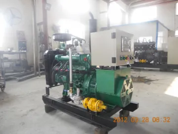 20kW Coal Bed Gas Generator