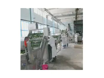 Canned Cucumber Processing Line