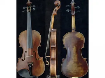 Antique Violin