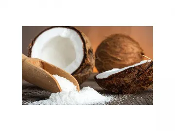 Coconut Powder Manufacturing Line